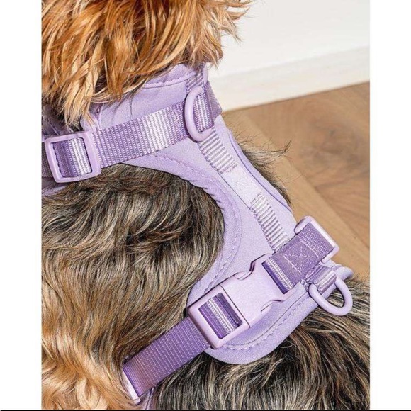 Wild One Dog Wild One Harness Lilac Purple For Small Dogs Or Puppy